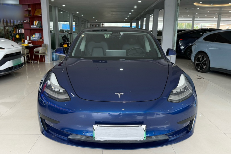 特斯拉 Model 3 2019款 标准续航后驱升级版车身外观6006