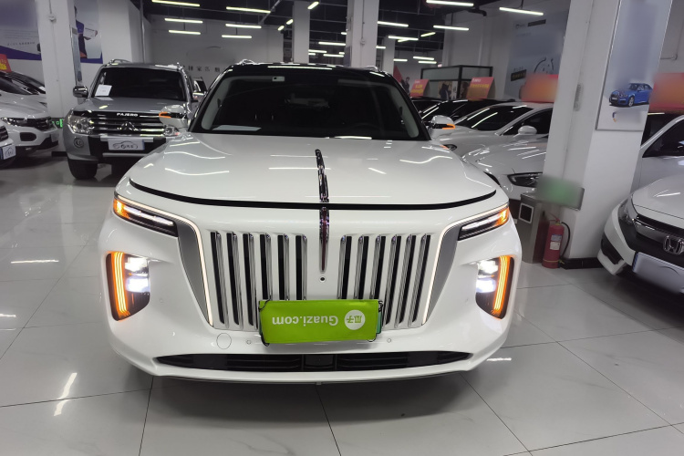 红旗E-HS9 2021款 510km 旗畅版 六座车身外观2