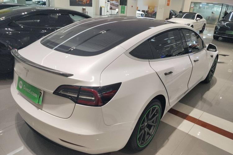 特斯拉 Model 3(进口) 2019款 长续航后驱版车身外观7