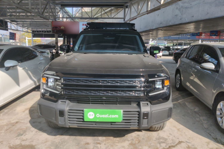 深蓝汽车 深蓝G318 2024款 四驱舒享版车身外观2