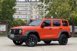 坦克300 2023款 越野版 2.0T 征服者