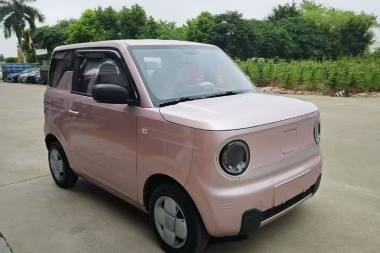 吉利银河 2023款 熊猫mini 200km 耐力熊车身外观6004