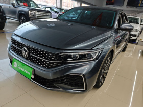 大众 帕萨特 2022款 330TSI 星空豪华版