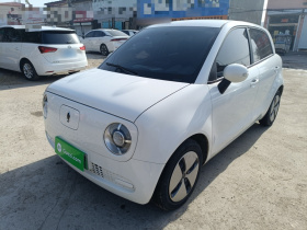 欧拉黑猫 2021款 301km 基础型