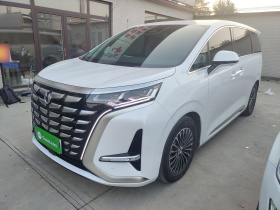 腾势D9 2022款 DM-i 970 四驱旗舰型