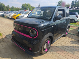 吉利银河 2025款 210km 熊猫卡丁