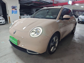 欧拉好猫 2022款 莫兰迪版 400km标准续航 尊贵型 三元锂