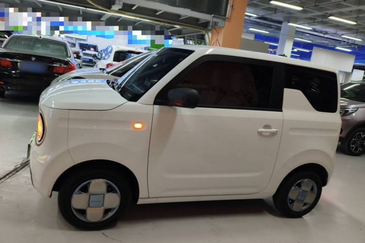 吉利银河 2024款 熊猫mini 200km 耐力熊车身外观4