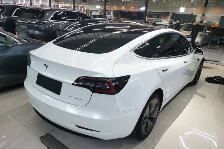 特斯拉 Model 3(进口) 2019款 长续航全轮驱动版车身外观6005