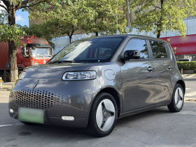 欧拉白猫 2020款 401km 长续航型