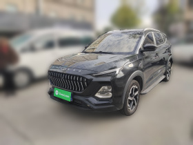 思皓X8 2021款 300T DCT全景豪华版 6座