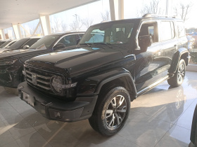 坦克300 2021款 城市版 2.0T 很有型