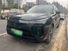 魏牌 蓝山 2023款 四驱超长续航版