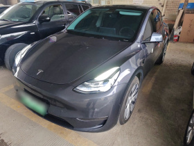 特斯拉 Model Y 2021款 标准续航后驱版