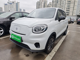 零跑汽车 零跑T03 2024款 310舒享版