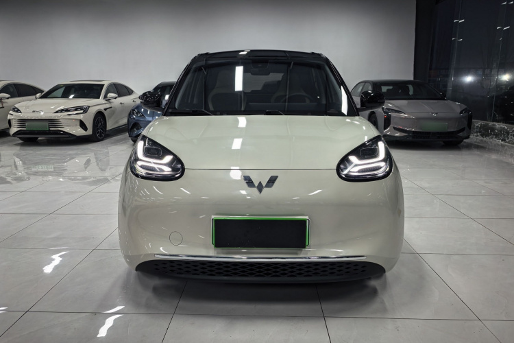 五菱汽车 五菱缤果 2023款 333km 灵犀互联款车身外观6001