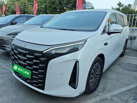 比亚迪 夏 2025款 DM-i 1.5T 180km 卓越型