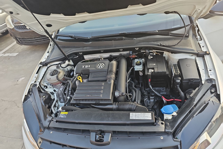 大众 高尔夫 2017款 230TSI 自动舒适百万辆纪念版机舱底盘24