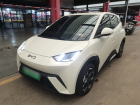 比亚迪 海鸥 2025款 305km 自由版