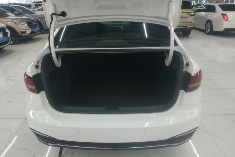 大众 朗逸 2023款 1.5L 自动五百万版局部细节23