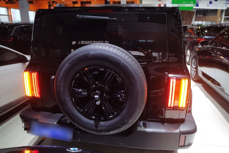 坦克300 2024款 2.0T 征服者车身外观6