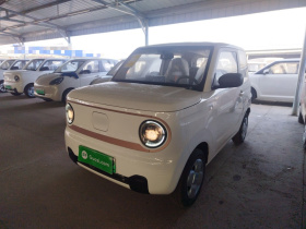吉利银河 2024款 熊猫mini 200km 耐力熊