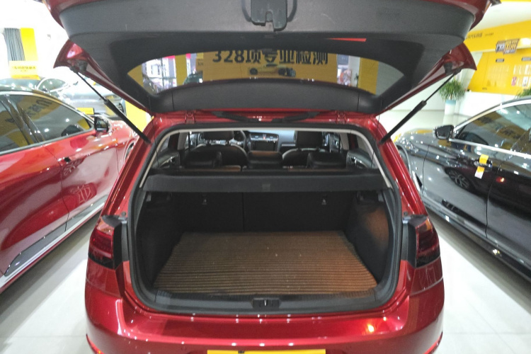 大众 高尔夫 2018款  230TSI 自动豪华型机舱底盘23
