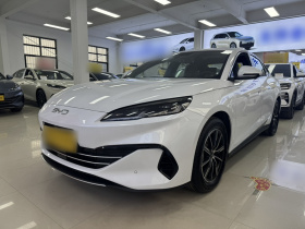 比亚迪 海豹06新能源 2024款 DM-i 80KM尊贵型