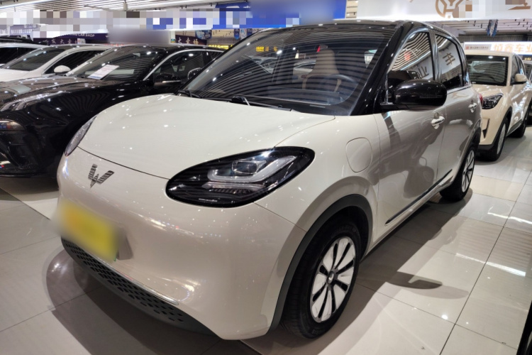 五菱汽车 五菱缤果 2023款 410km 灵犀尊享款车身外观1