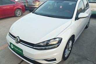 大众 高尔夫 2019款 280TSI DSG舒适型 国VI