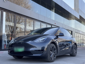 特斯拉 Model Y 2024款 后轮驱动版