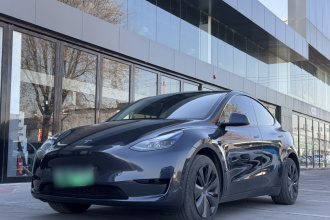 特斯拉 Model Y 2024款 后轮驱动版