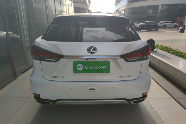 雷克萨斯RX 2020款 改款 300 两驱舒适版车身外观6