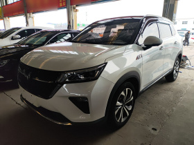 五菱汽车 五菱星辰 2022款 2.0L DHT电速款