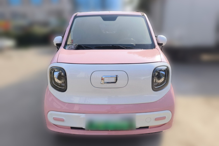 奔腾小马 2025款 222km 灵动马车身外观2