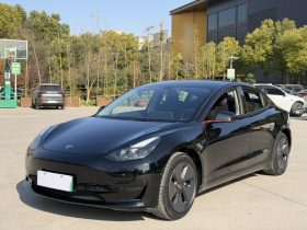 特斯拉 Model 3 2022款 后轮驱动版