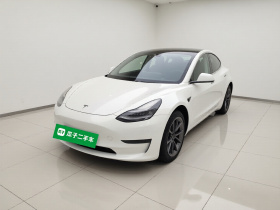 特斯拉 Model 3 2020款 改款 长续航后轮驱动版