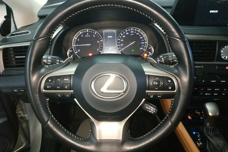 雷克萨斯RX 2020款 300 四驱典雅版 国VI局部细节13