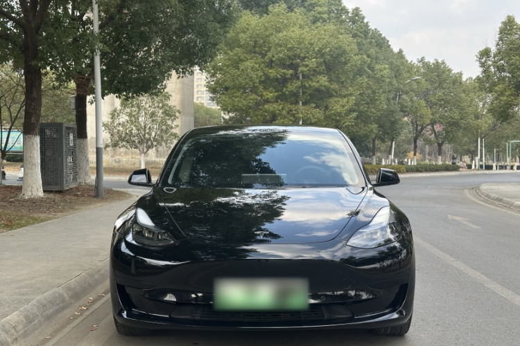 特斯拉 Model 3 2021款 标准续航后驱升级版车身外观6008