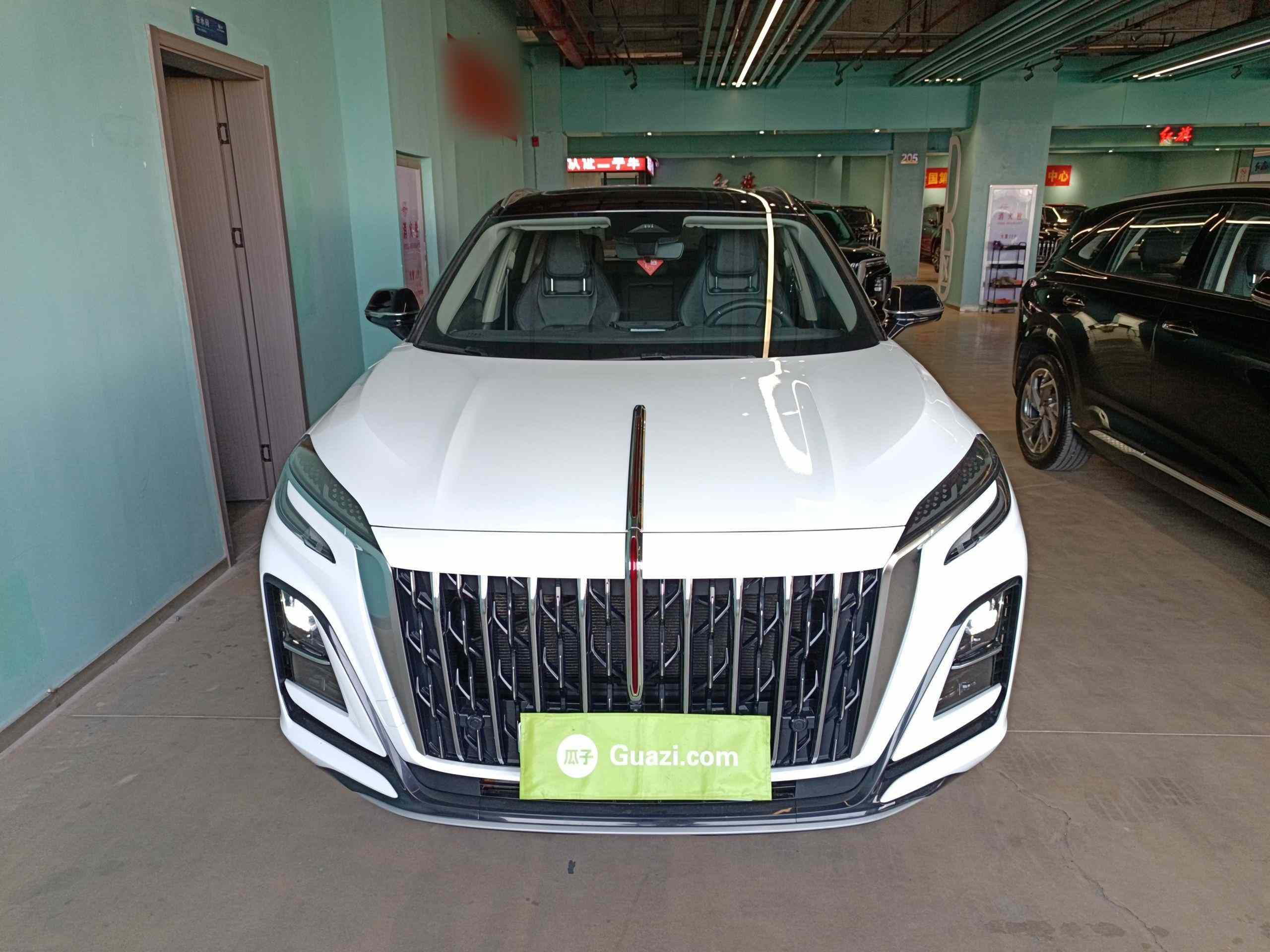 红旗HS3 PHEV 2024款 115km 劲为版(1)