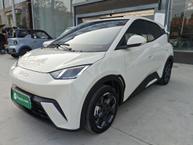 比亚迪 海鸥 2025款 305km 自由版