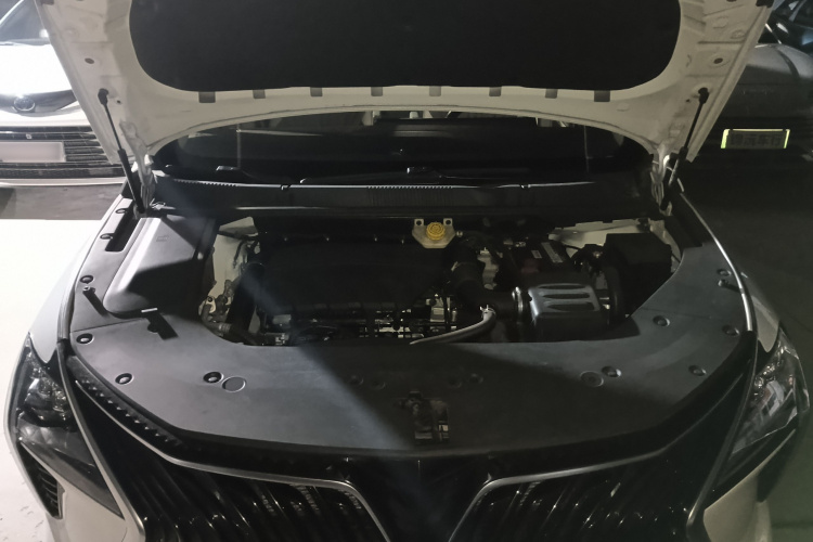 东风风行 风行游艇 2022款 1.5T DCT追风版局部细节24