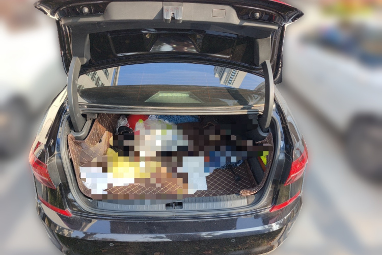 大众 帕萨特 2019款 280TSI 商务版 国VI局部细节23