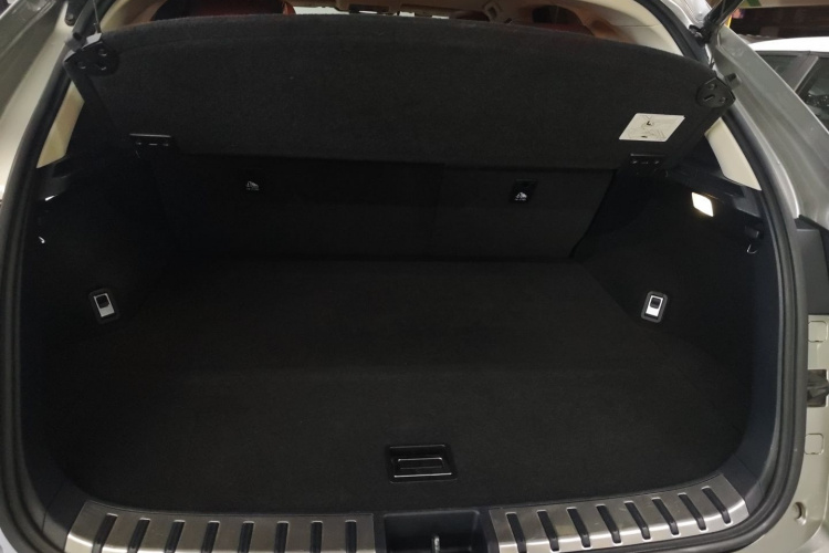 雷克萨斯NX 2020款 300h 前驱 锋尚版 国VI局部细节9010