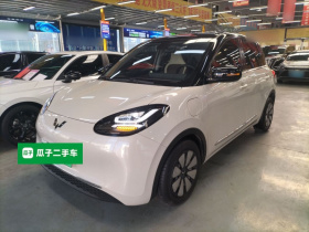 五菱汽车 五菱缤果 2023款 333km 灵犀互联款