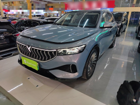 岚图汽车 岚图FREE 2022款 四驱超长续航纯电版