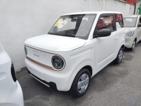 吉利银河 2024款 熊猫mini 200km 耐力熊