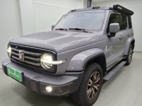 坦克300 2023款 城市版 2.0T 很有型