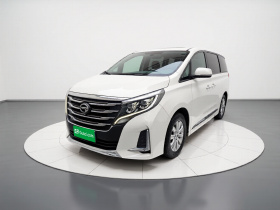 广汽传祺 传祺M8 2020款 领航款 390T 尊享版