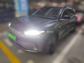 零跑汽车 零跑C11 2021款 改款 豪华版